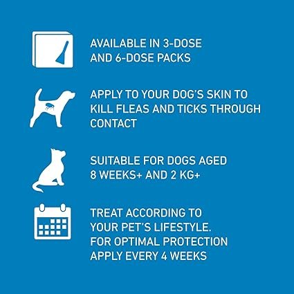 FRONTLINE Spot On Flea & Tick Treatment for Medium Dog (10-20kg) 6 Pipettes - Image 3