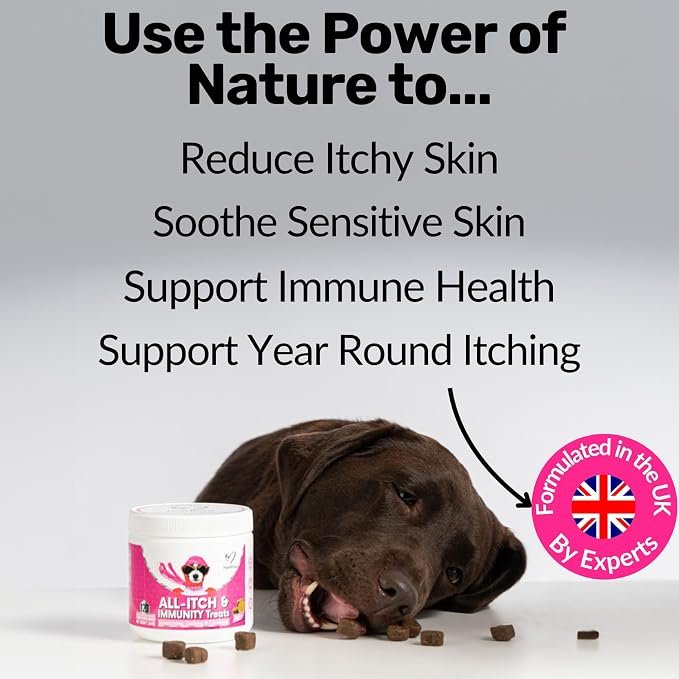 NutriPaw All-Itch Immunity Treats For Dogs - Soothe Itchy Paws, Eyes, Ears, Skin - Stop Itching, Licking, Scratching - Perfect for Small, Medium & Large Dogs - Supports Seasonal Itching - Image 4