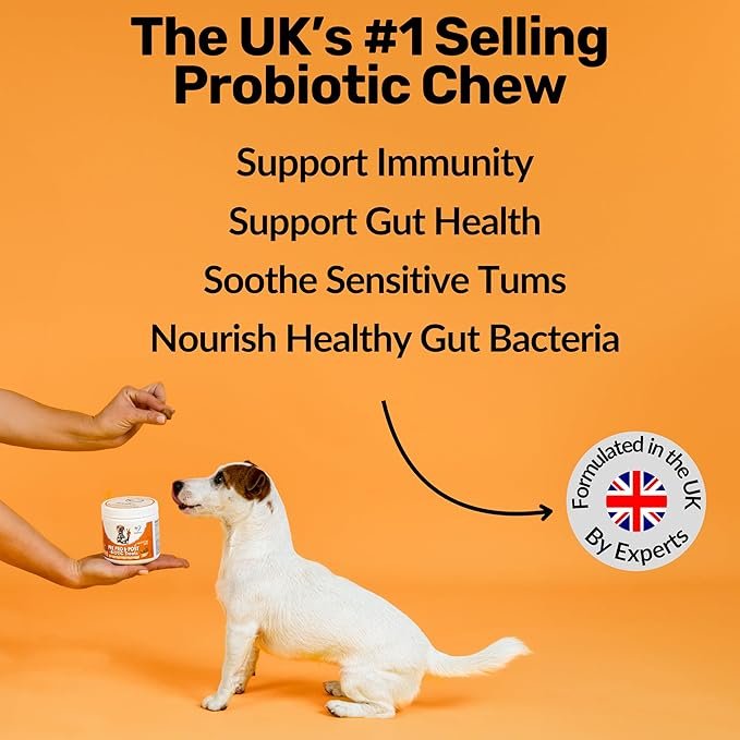 NutriPaw Pre, Pro & Postbiotic Digestive Treats For Dogs - Gut Health, Sensitive Tums, Anal Glands, Scooting, Loose Stools, Smelly, Itchy Ears, Great for all dogs - Image 5