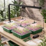 Suggest Product Thumbnail