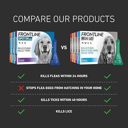 FRONTLINE Spot On Flea & Tick Treatment for Medium Dog (10-20kg) 6 Pipettes - Image 6