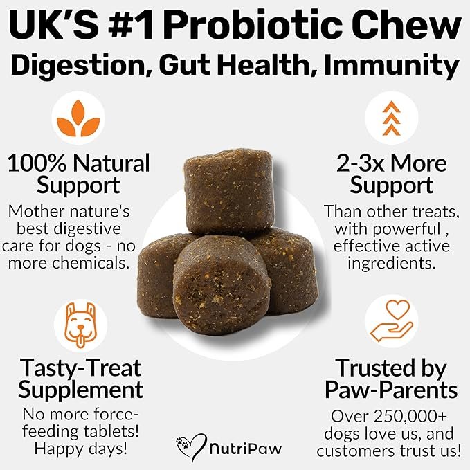 NutriPaw Pre, Pro & Postbiotic Digestive Treats For Dogs - Gut Health, Sensitive Tums, Anal Glands, Scooting, Loose Stools, Smelly, Itchy Ears, Great for all dogs - Image 4