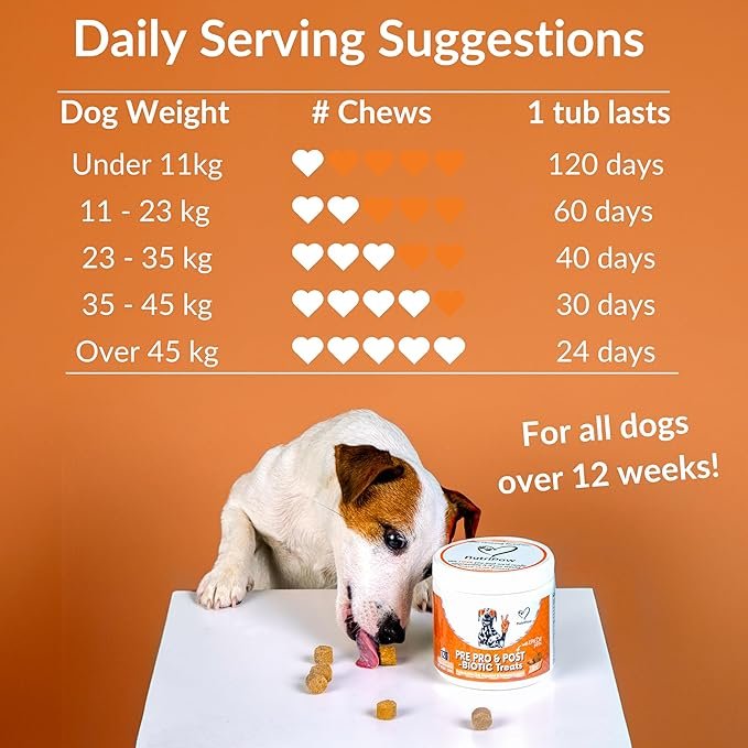 NutriPaw Pre, Pro & Postbiotic Digestive Treats For Dogs - Gut Health, Sensitive Tums, Anal Glands, Scooting, Loose Stools, Smelly, Itchy Ears, Great for all dogs - Image 7