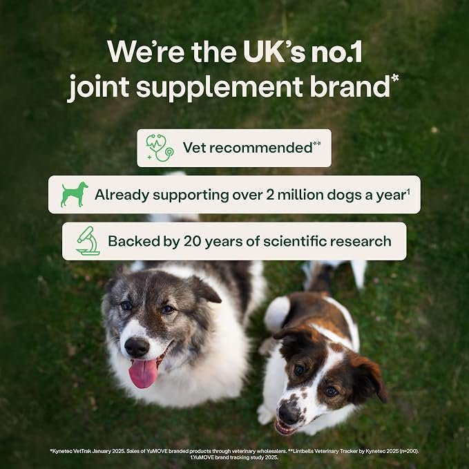 YuMOVE Max Strength Joint Supplement for Senior Dogs, Joint Care with Glucosamine, Chondroitin and Green Lipped Mussel, Age 8+, 120 Tablets - Image 5