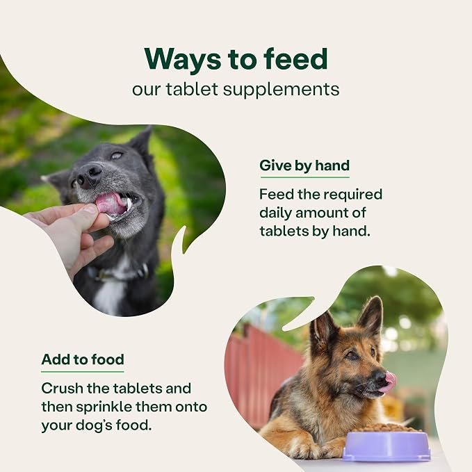 YuMOVE Max Strength Joint Supplement for Senior Dogs, Joint Care with Glucosamine, Chondroitin and Green Lipped Mussel, Age 8+, 120 Tablets - Image 6