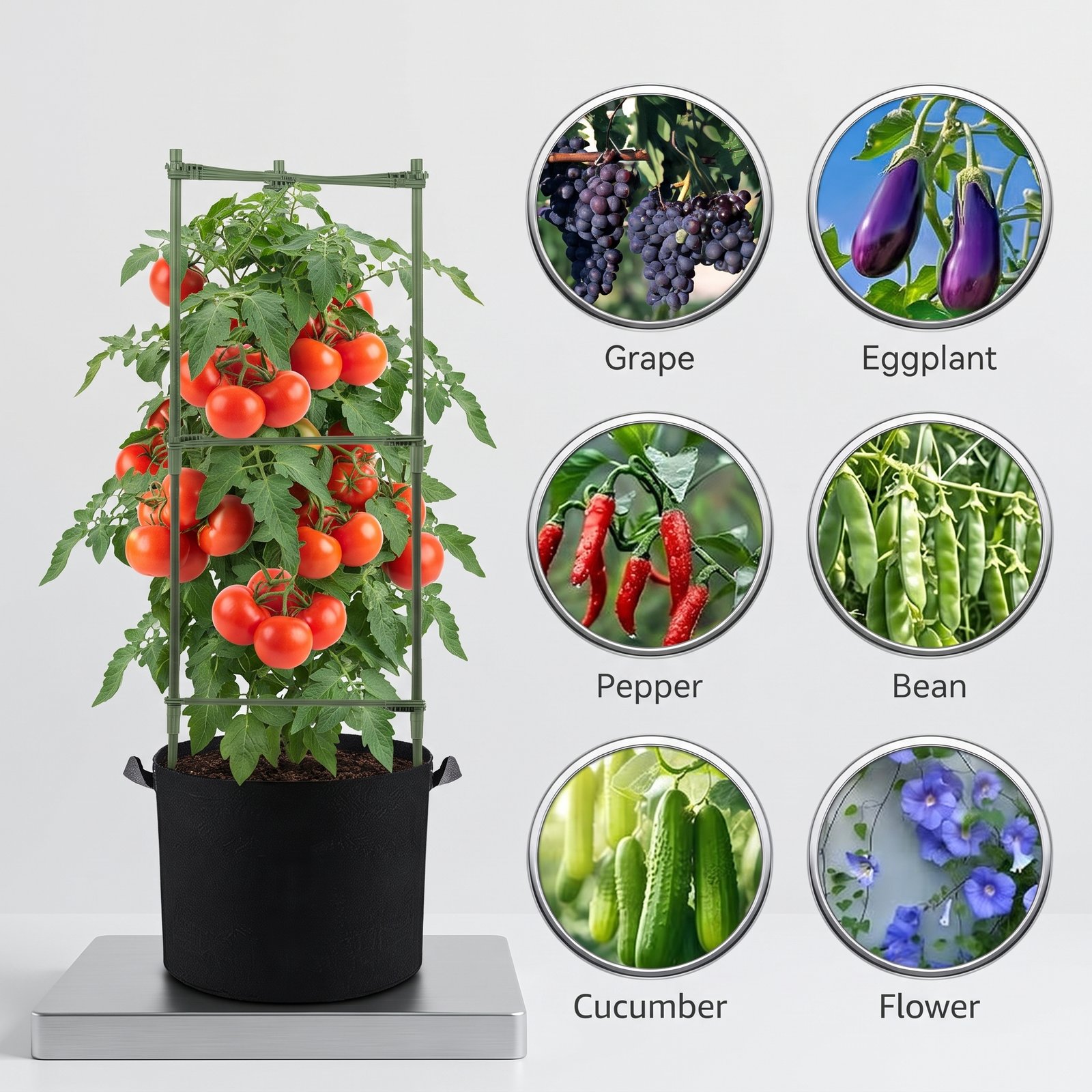 Nexura Tomato Cages with Grow Bags – 48 Inch Adjustable Tomato Trellis, 3-Pack Plant Support - Image 5